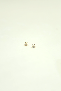 Little Bunny Ear Studs