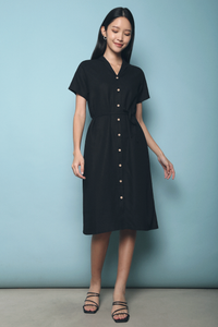 Aerin Linen Shirt Dress