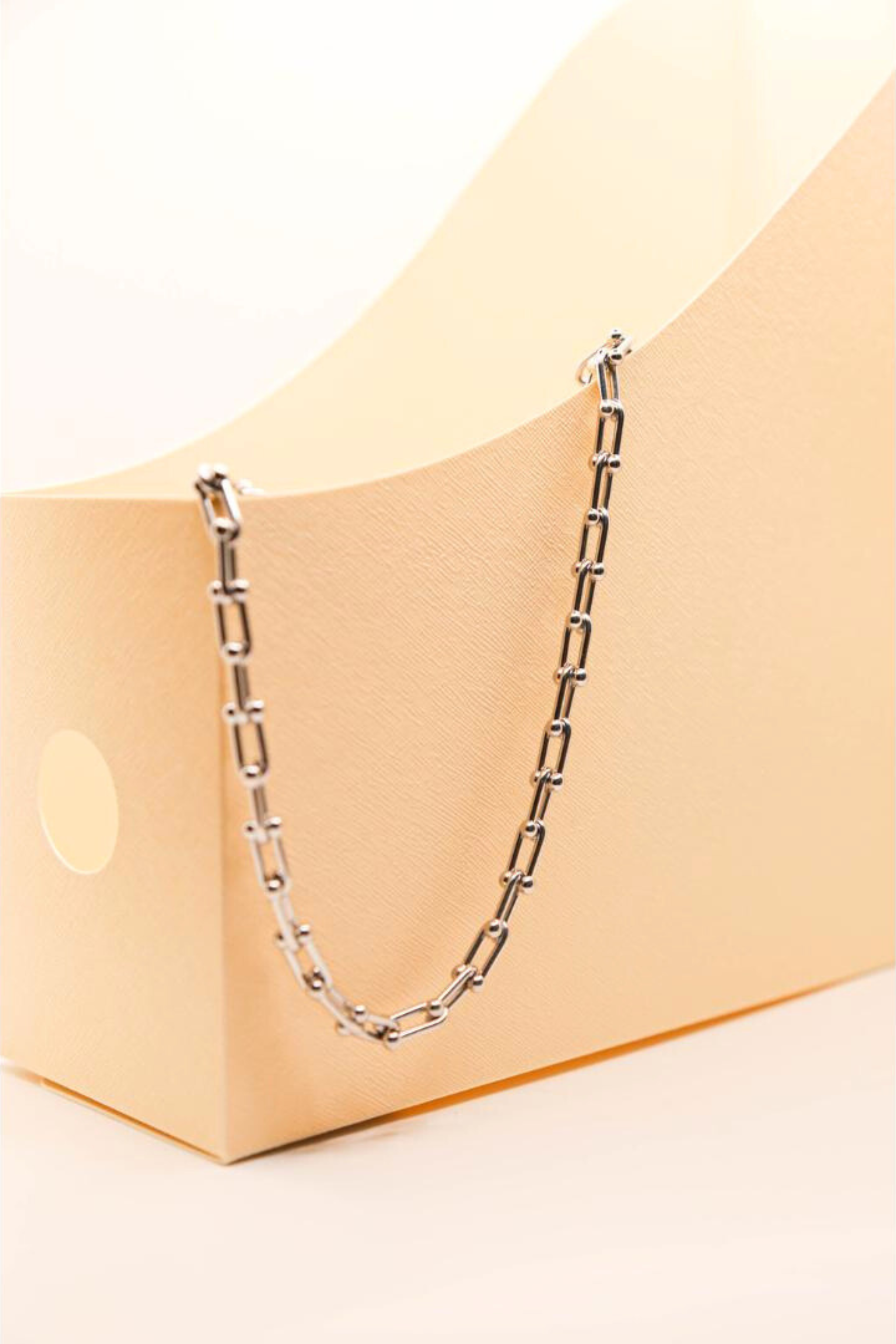 Bold Chain Necklace Silver