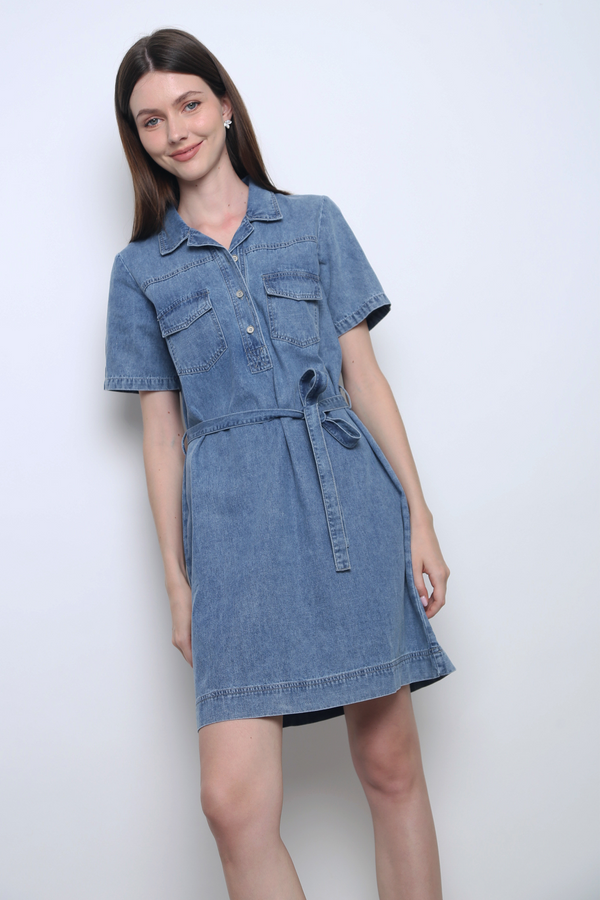 Utility Denim Dress